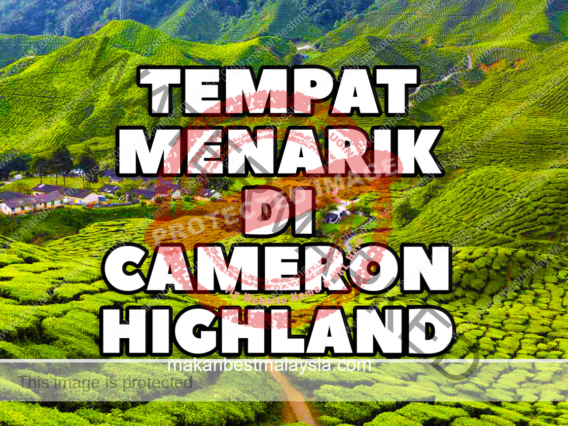 Tempat Menarik Di Cameron Highlands - Makan Best Malaysia